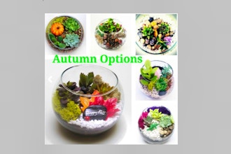 Plant Nite: Fall in Love Autumn Options